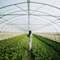 The Power of Sustainable Agriculture for the Future of Agribusiness