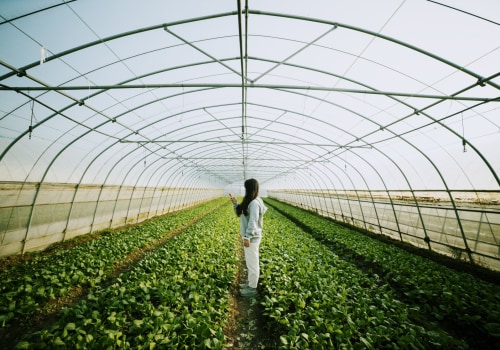 The Power of Sustainable Agriculture: A Farmer's Perspective