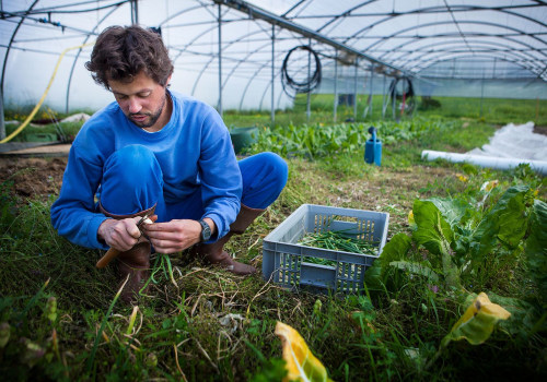 The Benefits of Sustainable Agriculture
