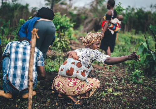 The Power of Sustainable Agriculture: An Expert's Perspective
